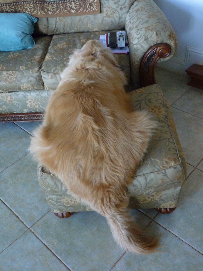 Needs A Cushion For Da Butts!