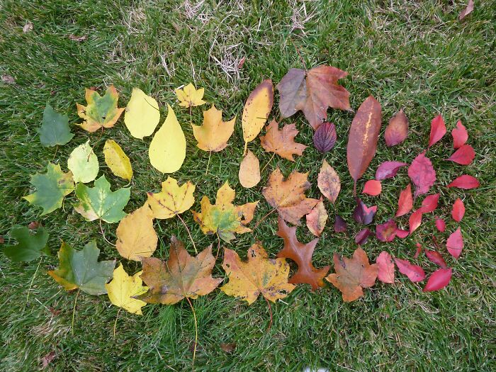 North Shore Of Long Island