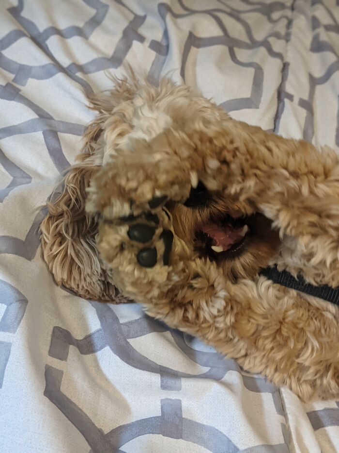 He Didn't Want A Picture But The Timings Perfect