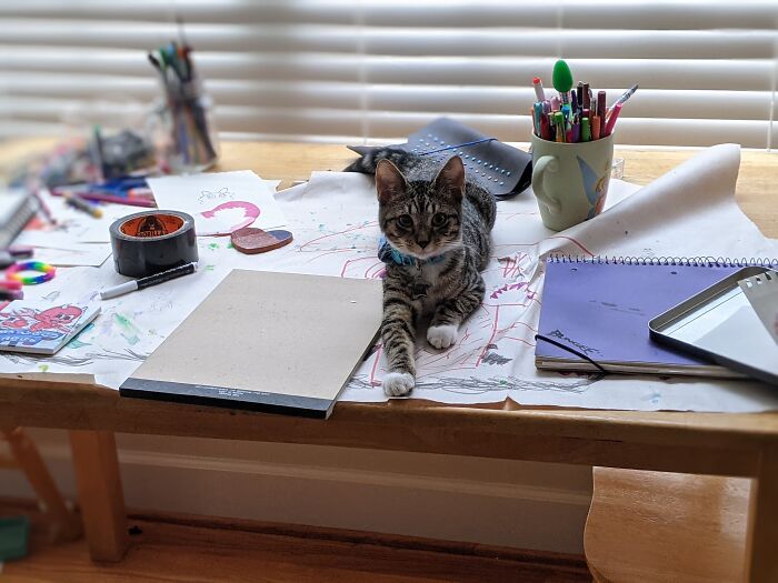 My Rescue (Literally), Tango, On My Art Table.