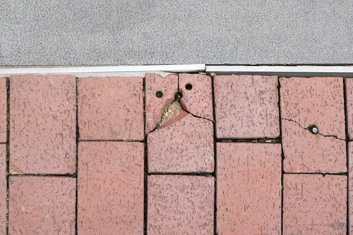 30 New Accidentally Brilliant Shots By Edas Wong