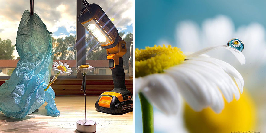 Photographer Makes Amazing Images Using Water Drops