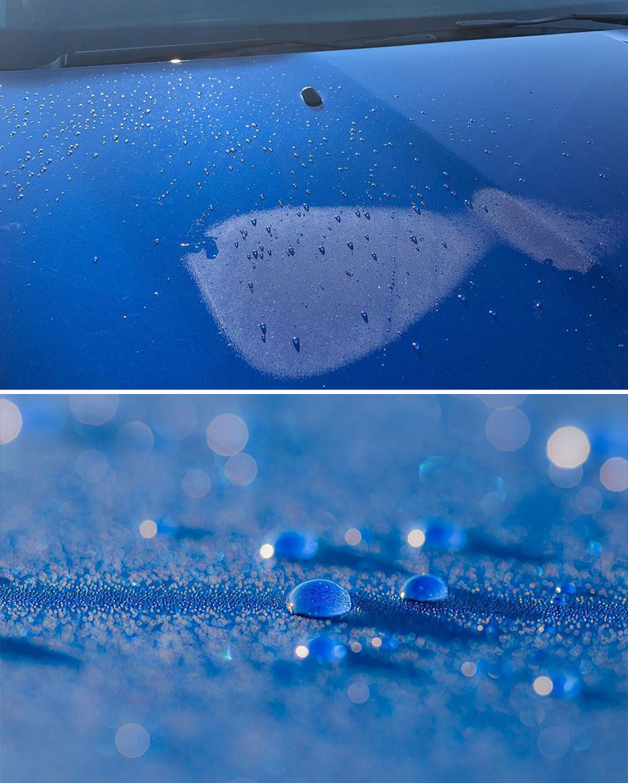 Photographer Makes Amazing Images Using Water Drops