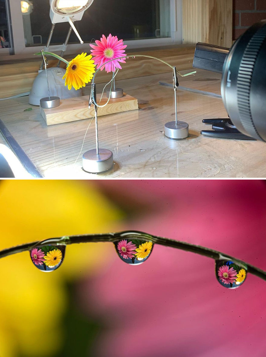 Photographer Makes Amazing Images Using Water Drops