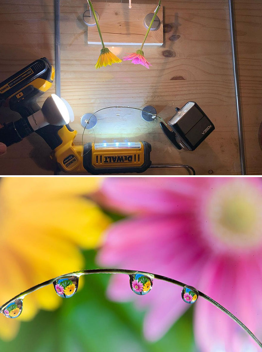 Photographer Makes Amazing Images Using Water Drops