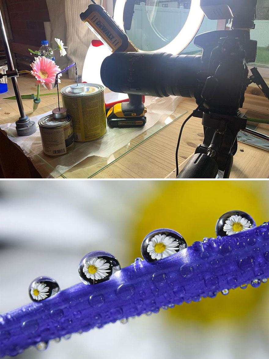 Photographer Makes Amazing Images Using Water Drops