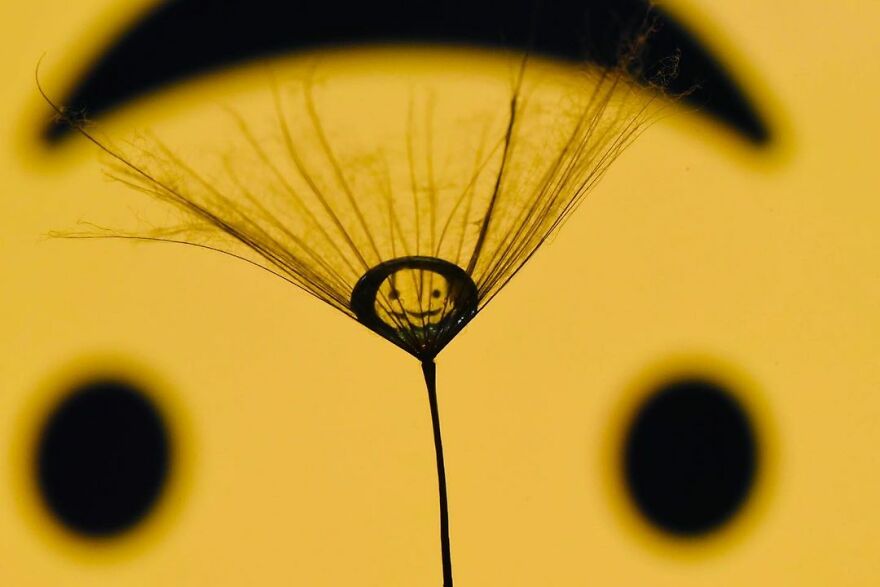 Photographer Makes Amazing Images Using Water Drops