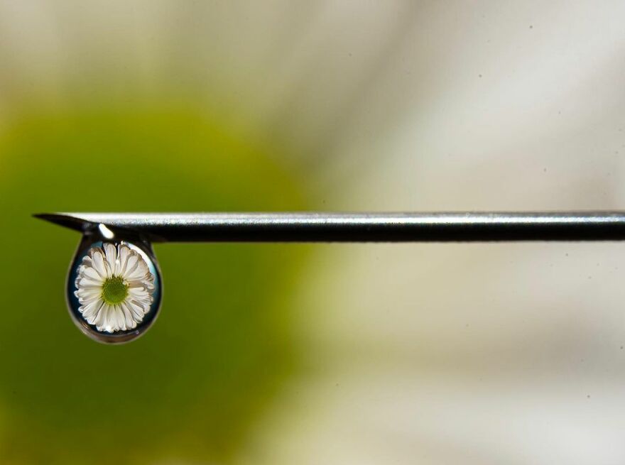 Photographer Makes Amazing Images Using Water Drops