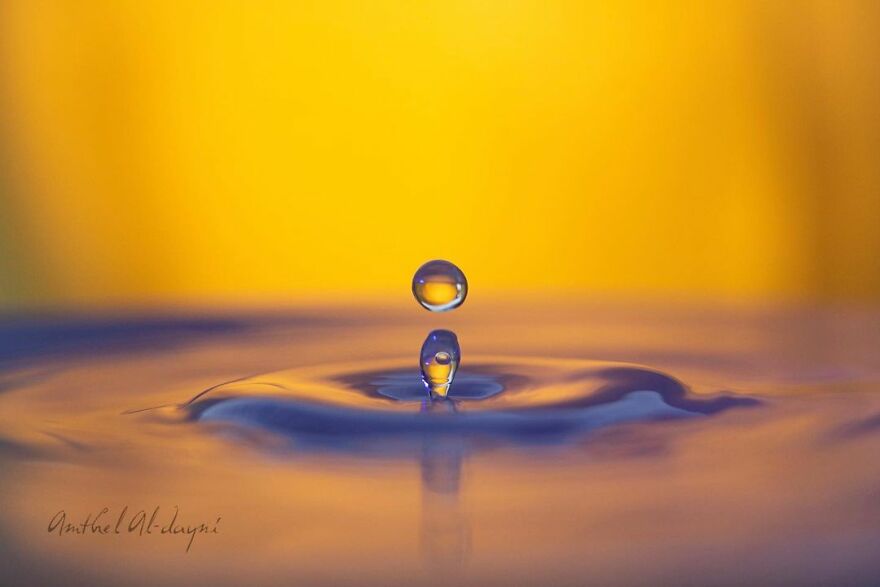 Photographer Makes Amazing Images Using Water Drops