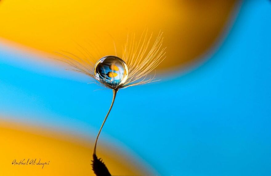 Photographer Makes Amazing Images Using Water Drops