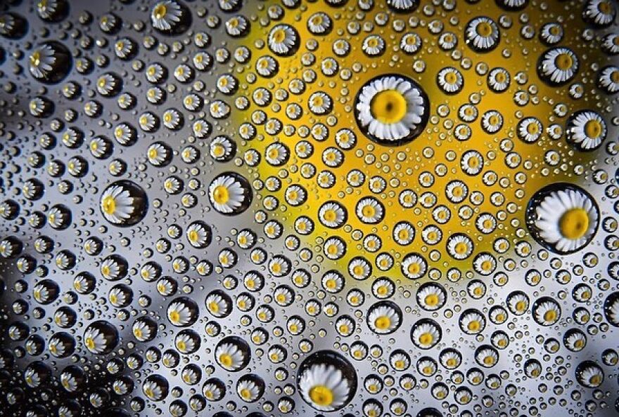 Photographer Makes Amazing Images Using Water Drops