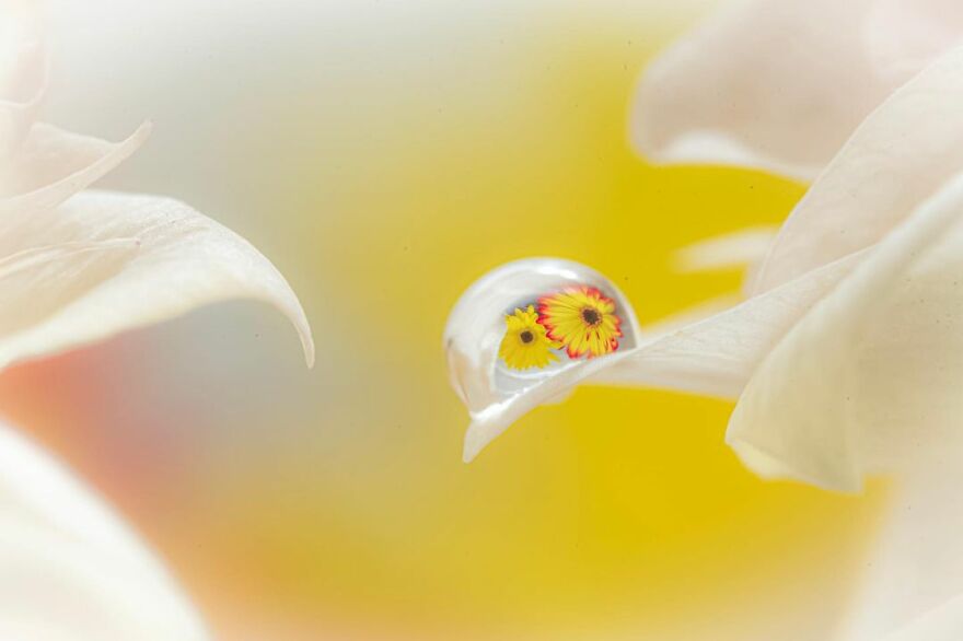 Photographer Makes Amazing Images Using Water Drops