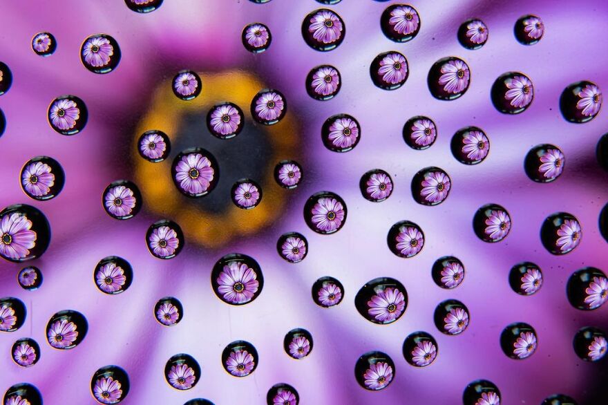 Photographer Makes Amazing Images Using Water Drops