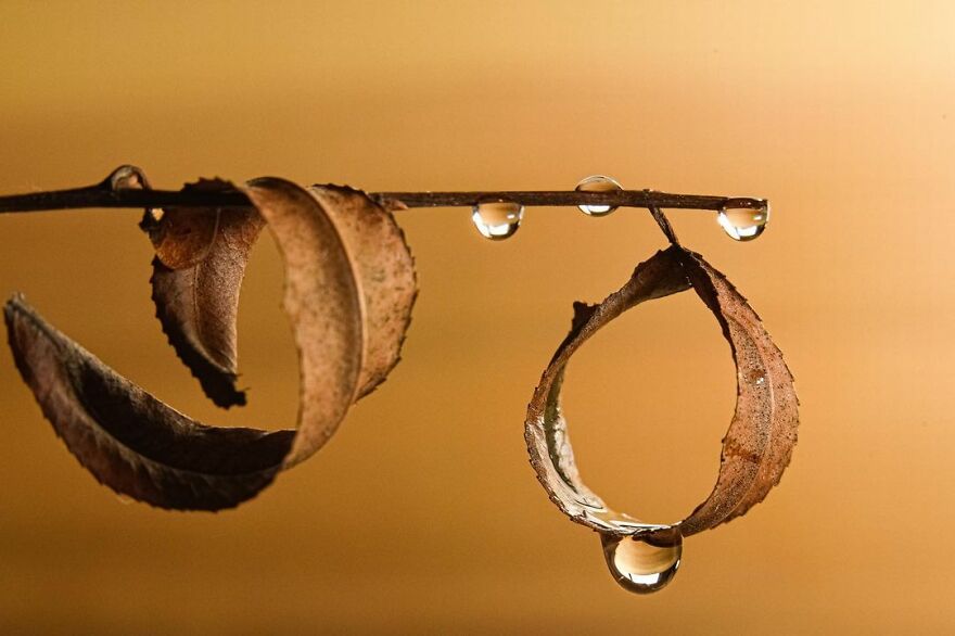 Photographer Makes Amazing Images Using Water Drops