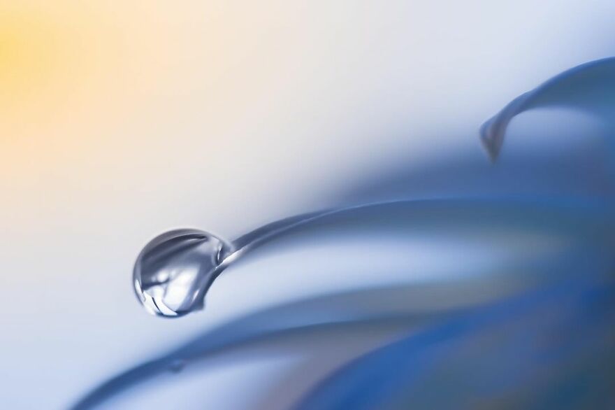 Photographer Makes Amazing Images Using Water Drops