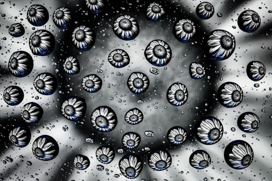 Photographer Makes Amazing Images Using Water Drops
