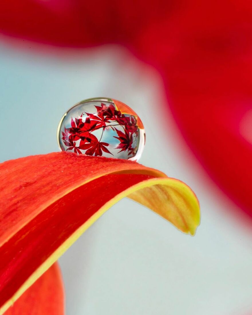 Photographer Makes Amazing Images Using Water Drops