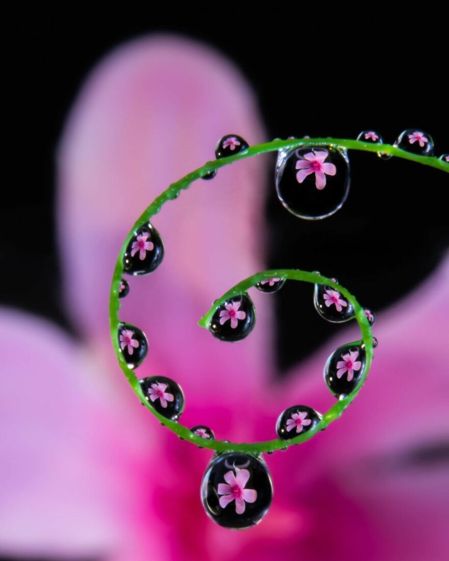 Photographer Makes Amazing Images Using Water Drops