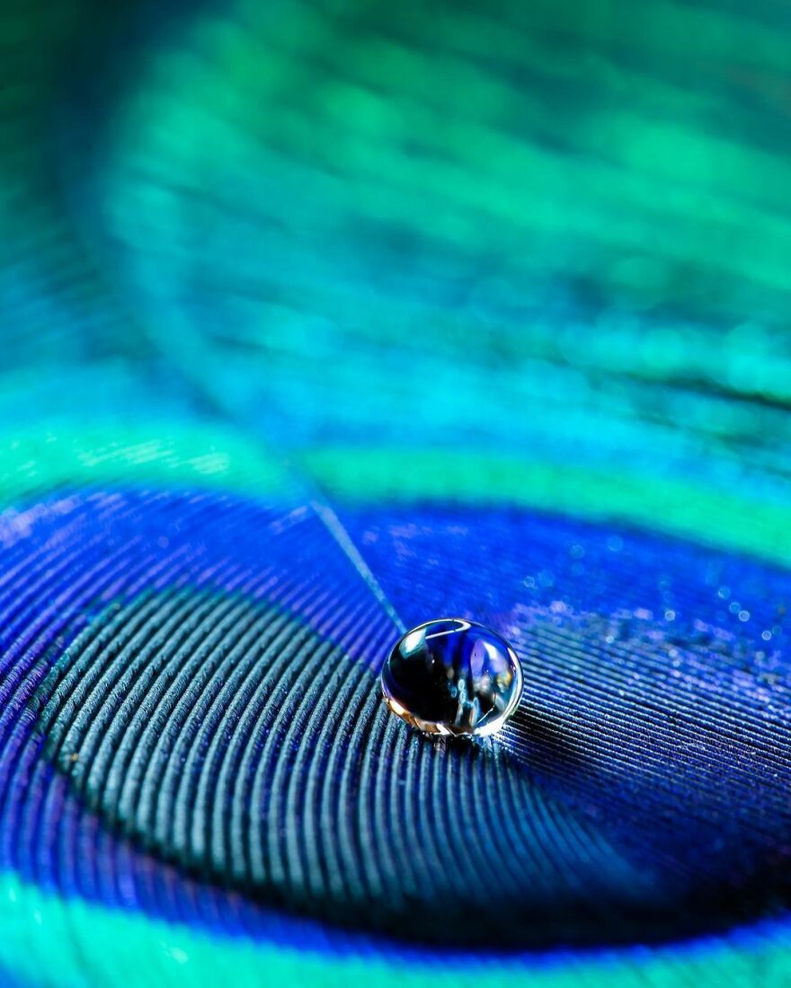 Photographer Makes Amazing Images Using Water Drops