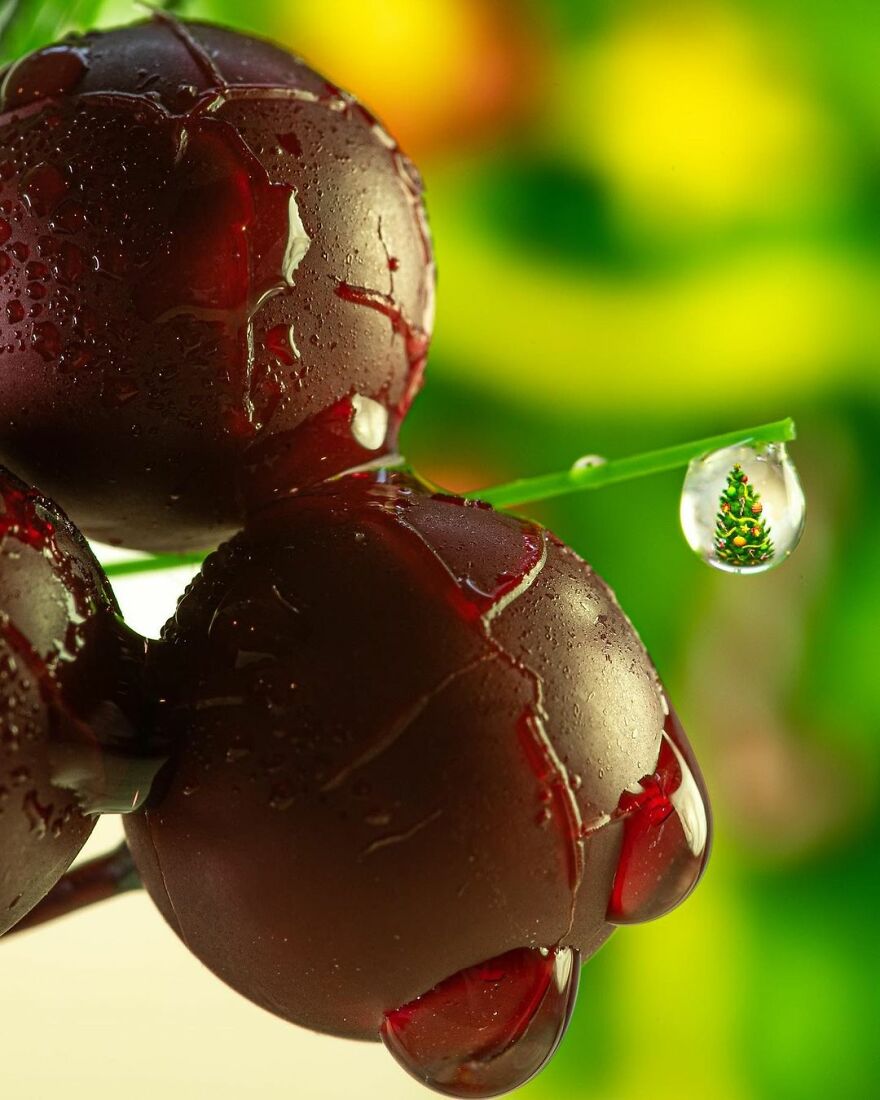 Photographer Makes Amazing Images Using Water Drops
