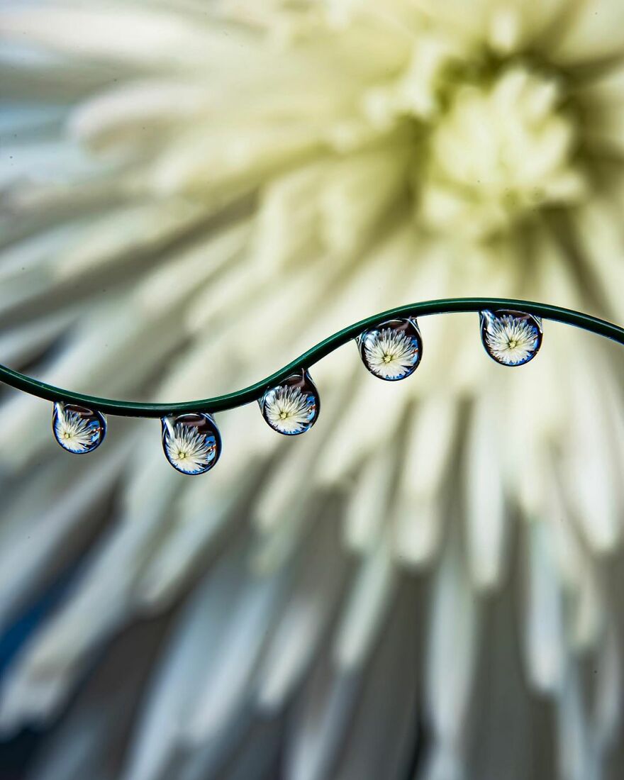 Photographer Makes Amazing Images Using Water Drops