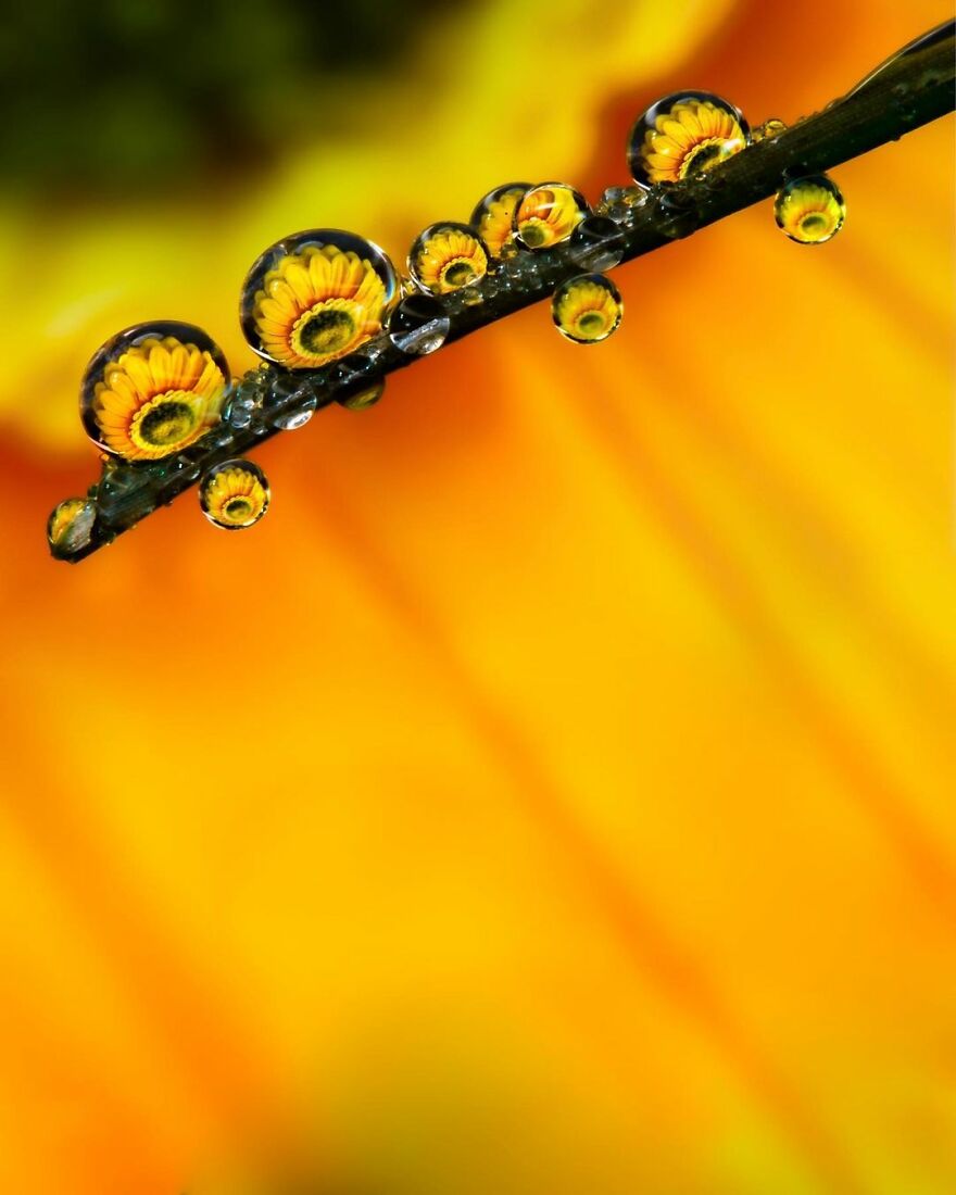 Photographer Makes Amazing Images Using Water Drops