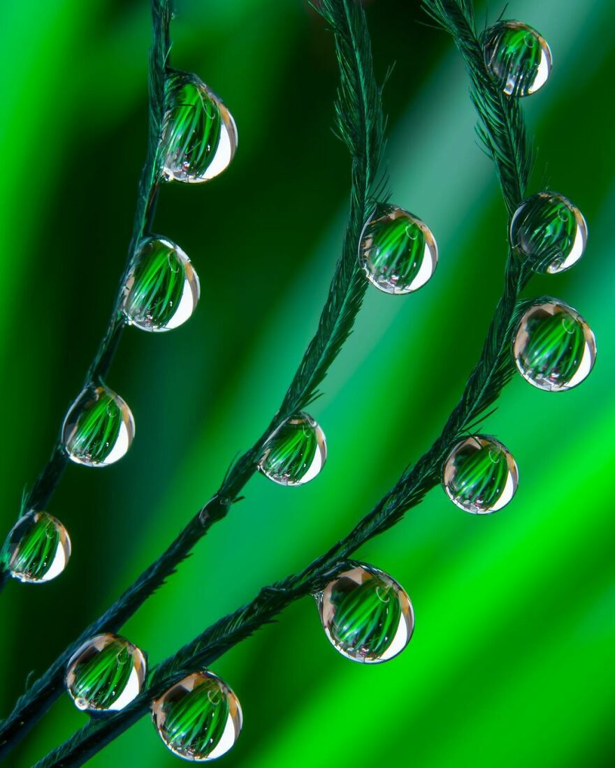 Photographer Makes Amazing Images Using Water Drops