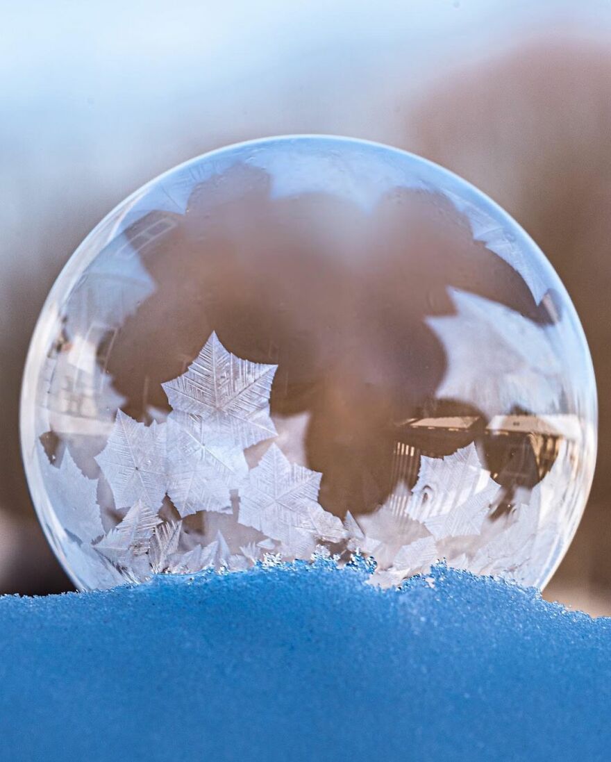 Photographer Makes Amazing Images Using Water Drops