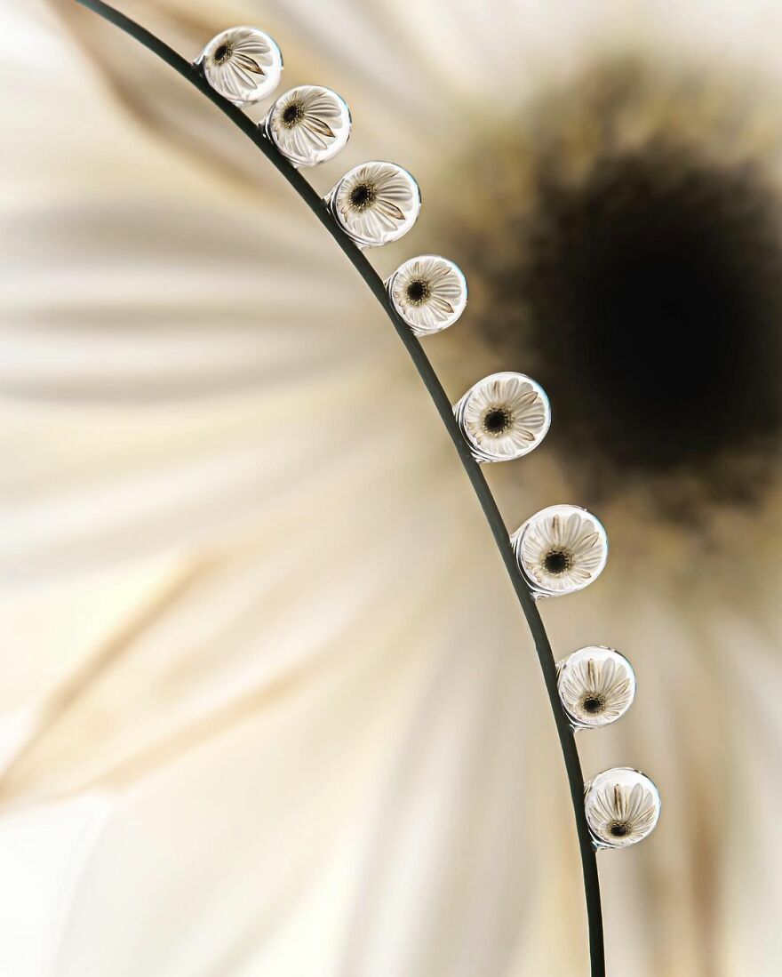 Photographer Makes Amazing Images Using Water Drops