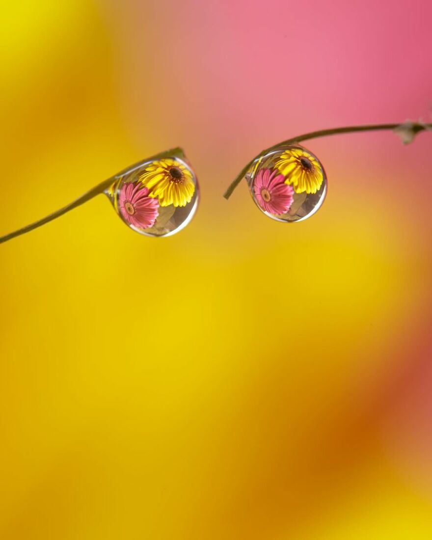 Photographer Makes Amazing Images Using Water Drops