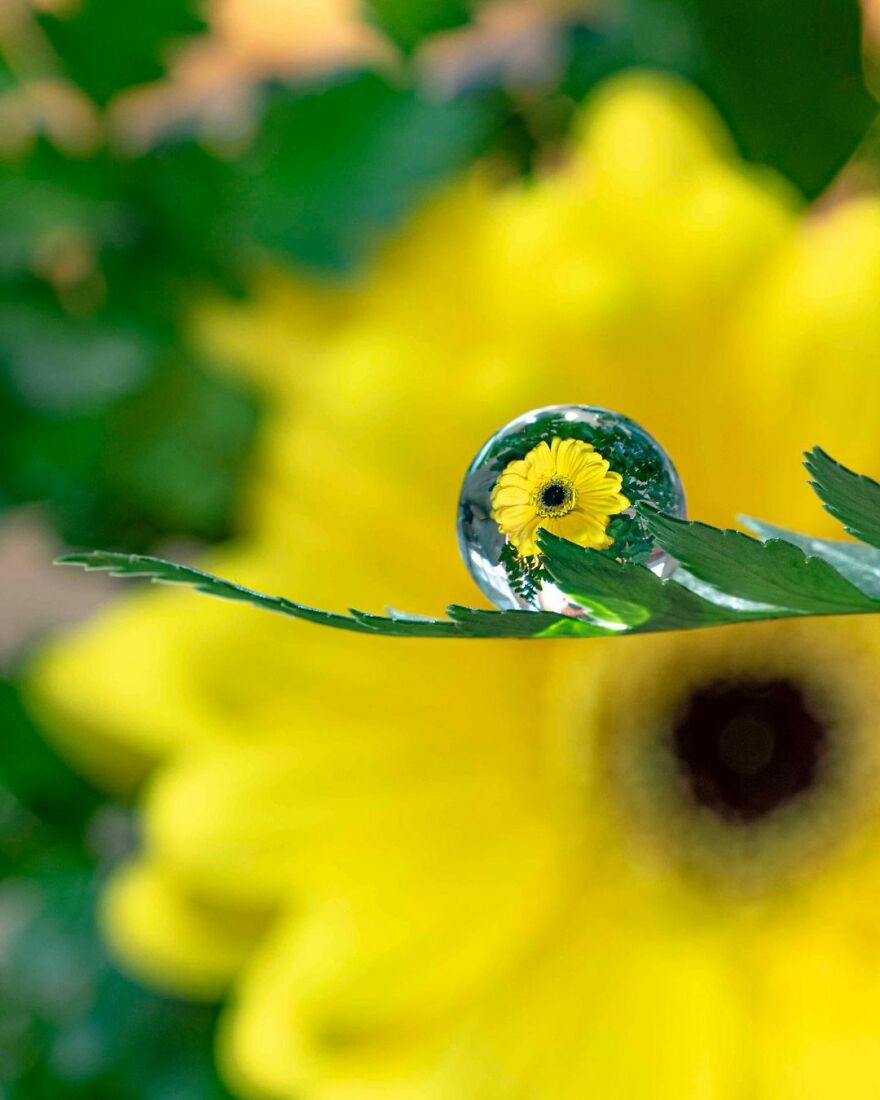 Photographer Makes Amazing Images Using Water Drops