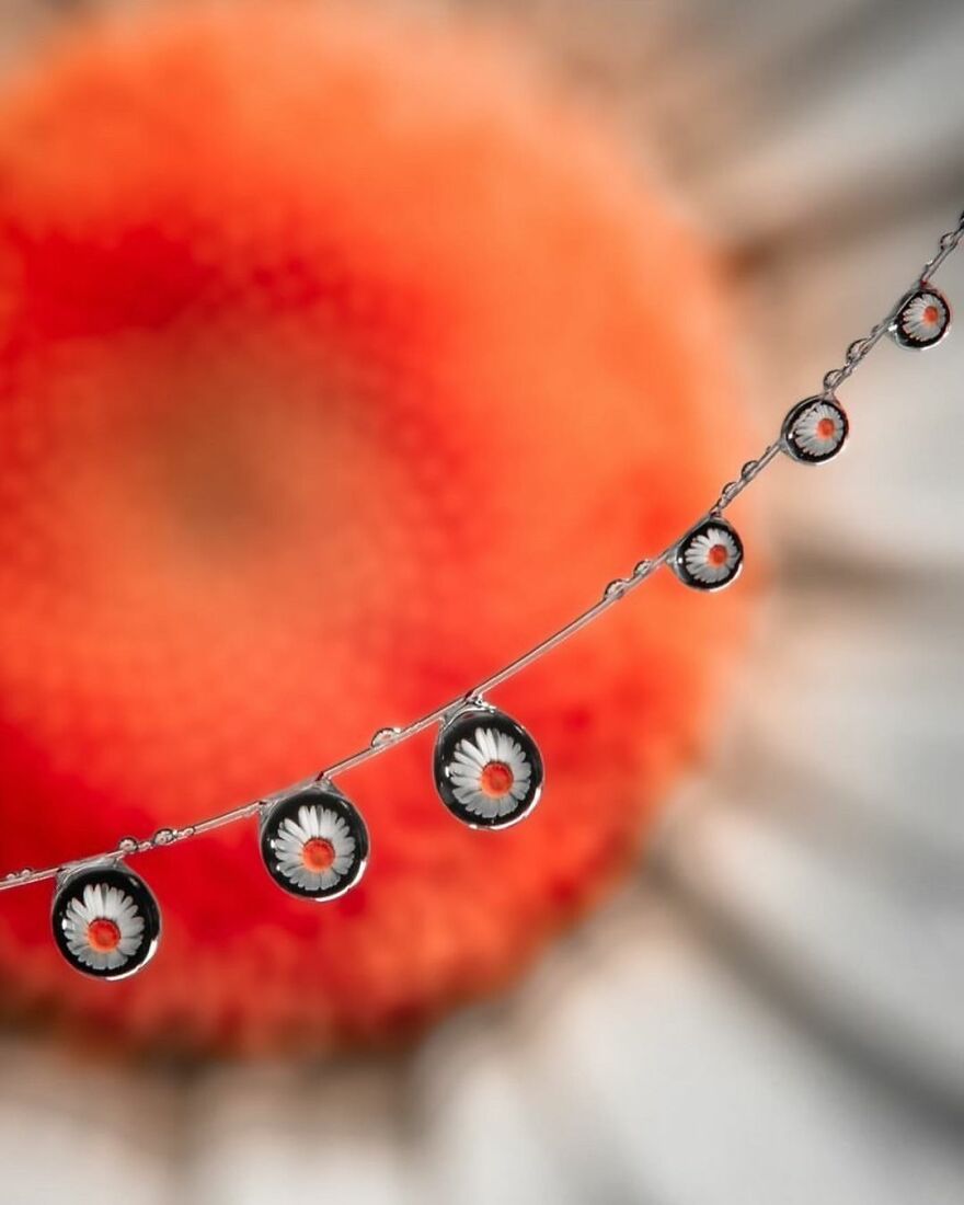 Photographer Makes Amazing Images Using Water Drops