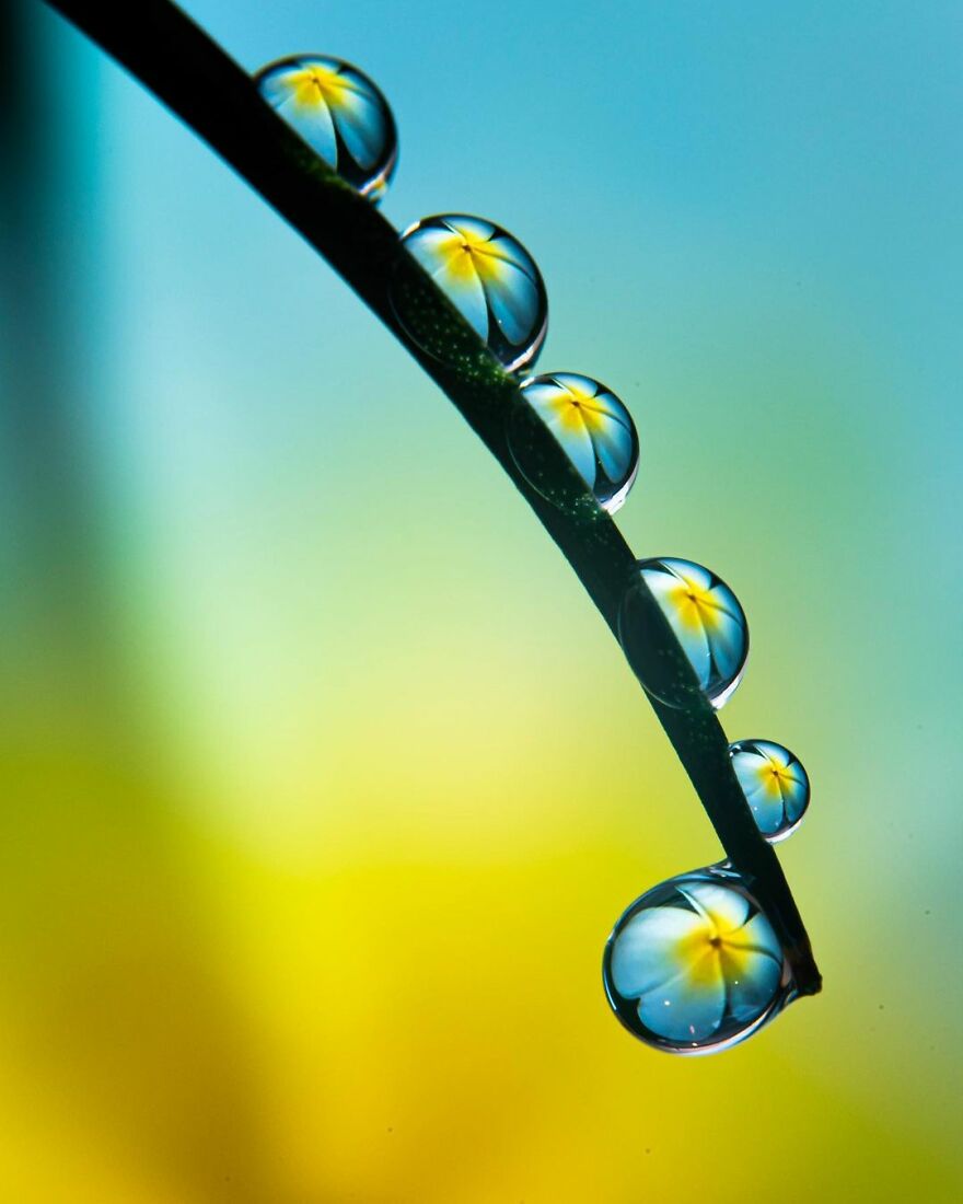 Photographer Makes Amazing Images Using Water Drops