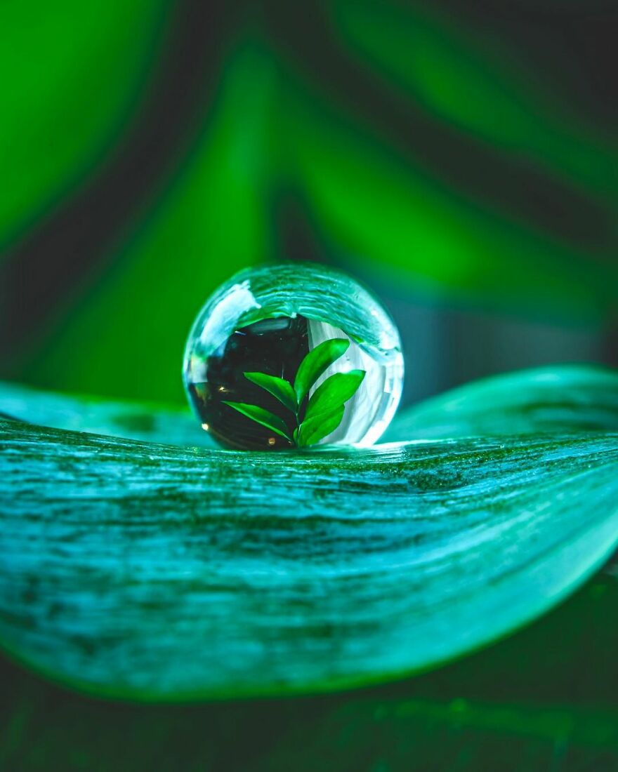 Photographer Makes Amazing Images Using Water Drops