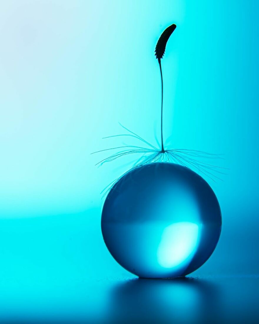 Photographer Makes Amazing Images Using Water Drops