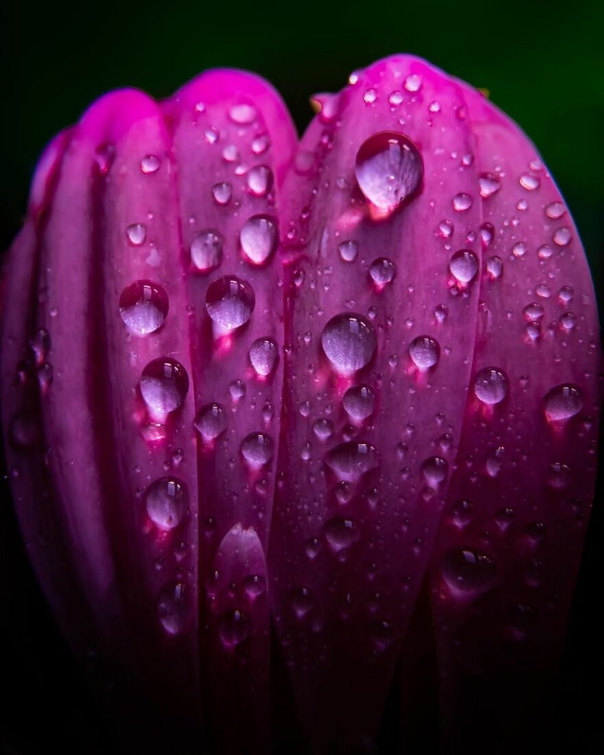 Photographer Makes Amazing Images Using Water Drops