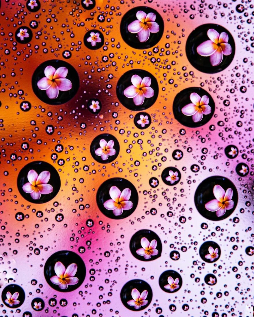 Photographer Makes Amazing Images Using Water Drops