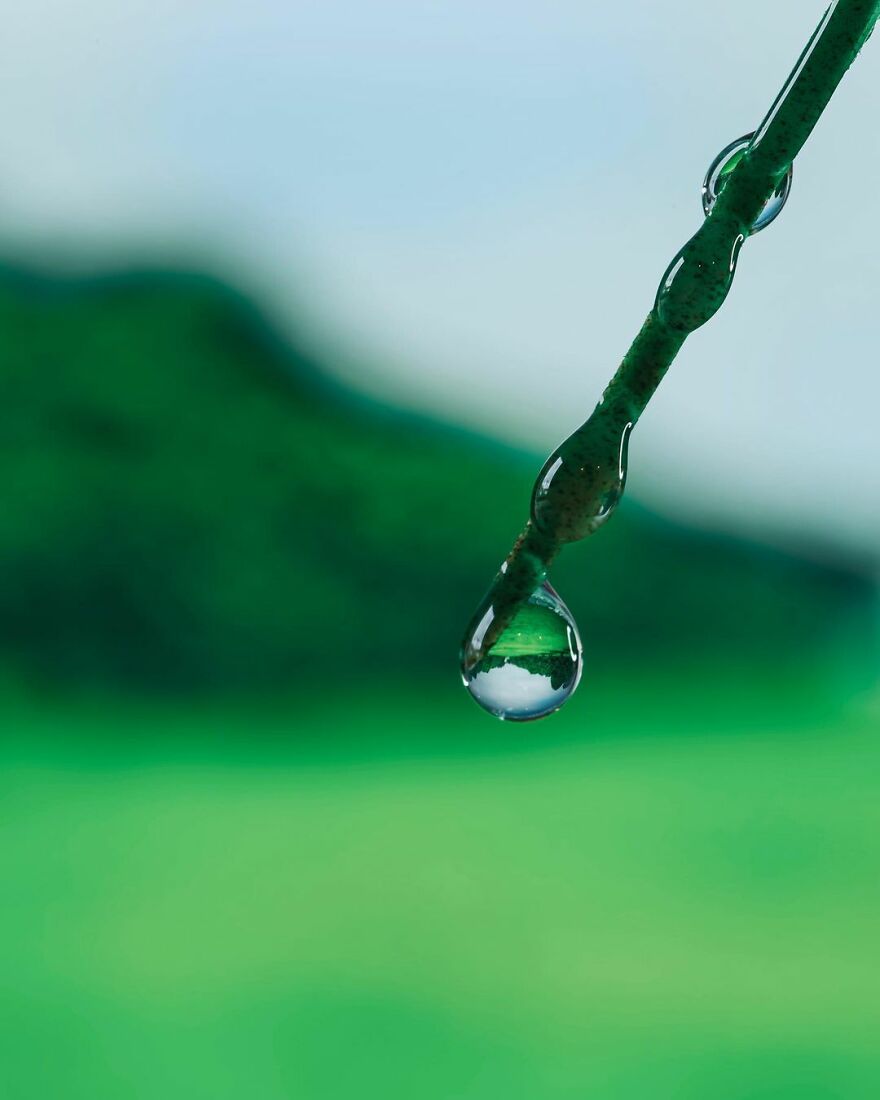 Photographer Makes Amazing Images Using Water Drops