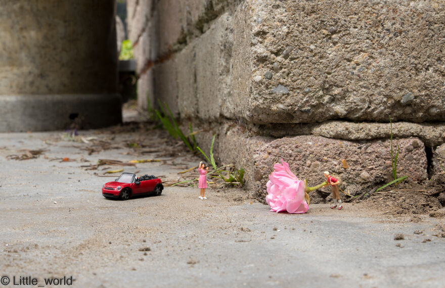 Showing Love By Giving A Rose