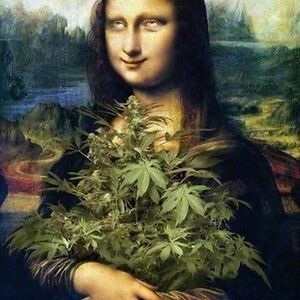 darvindankness avatar