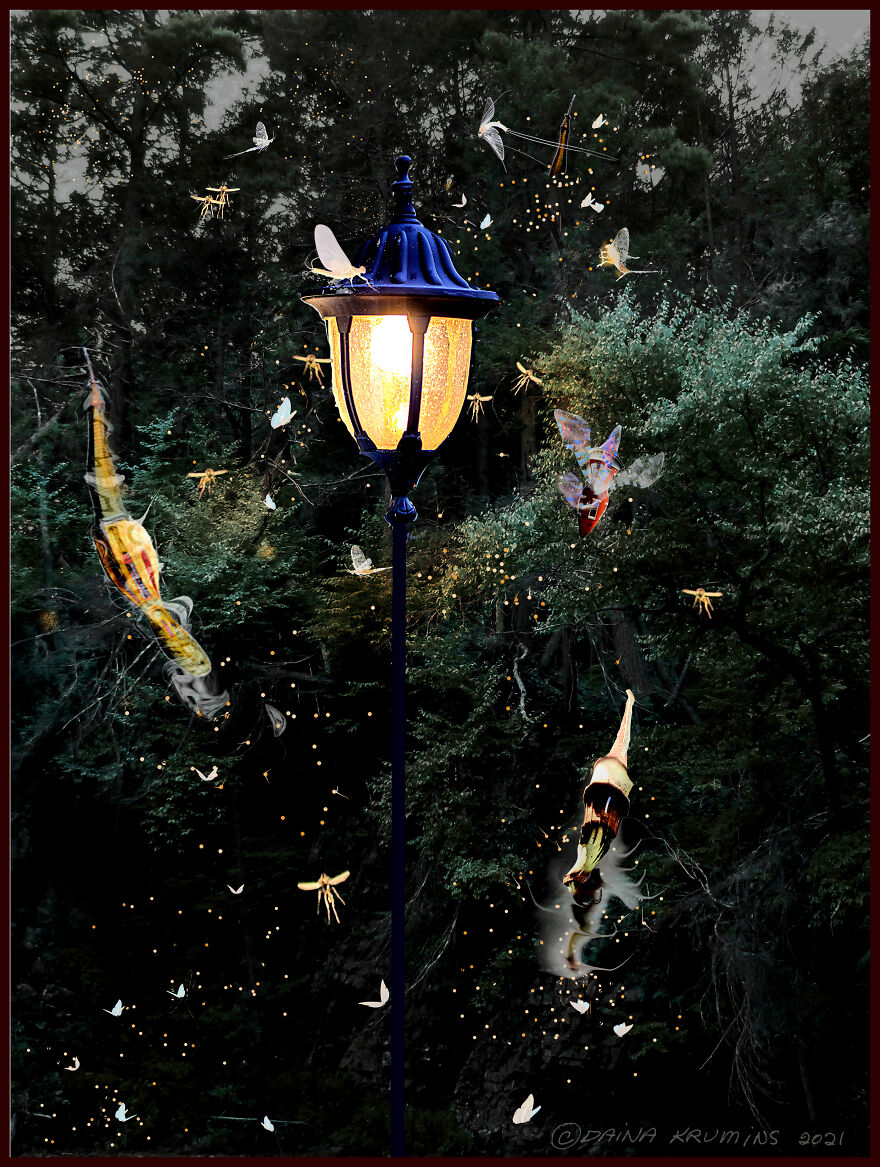 Intergalactic Gypsies