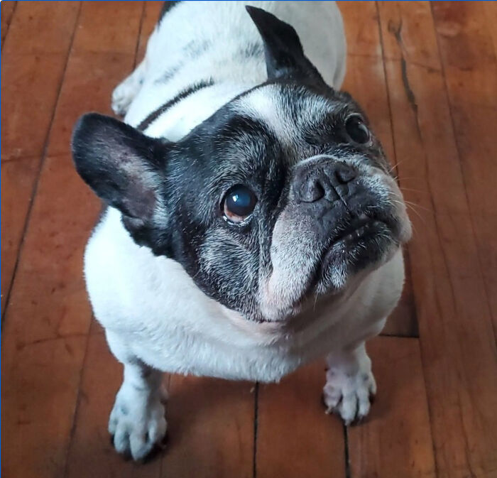 Gretel. Love Of My Life.