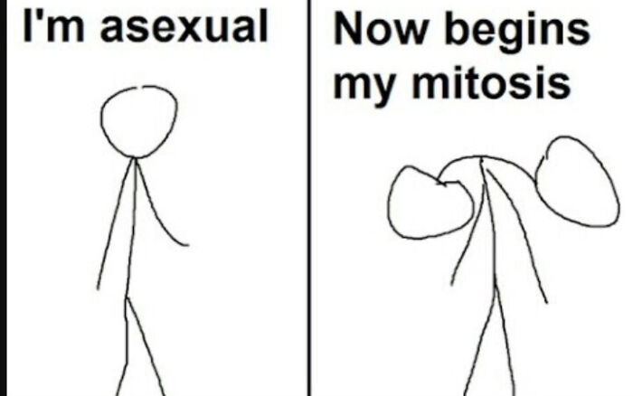 Me Funni (Pls Don't Mind Me)