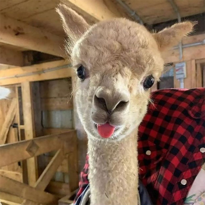 Don’t Forget To Have Fun