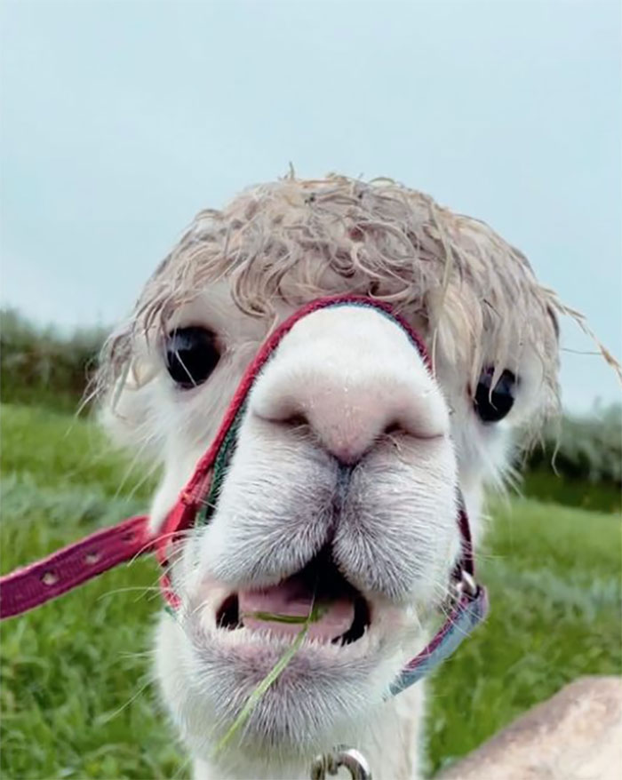 Yap Guys, It’s Monday