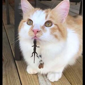 princesseseatcheese avatar