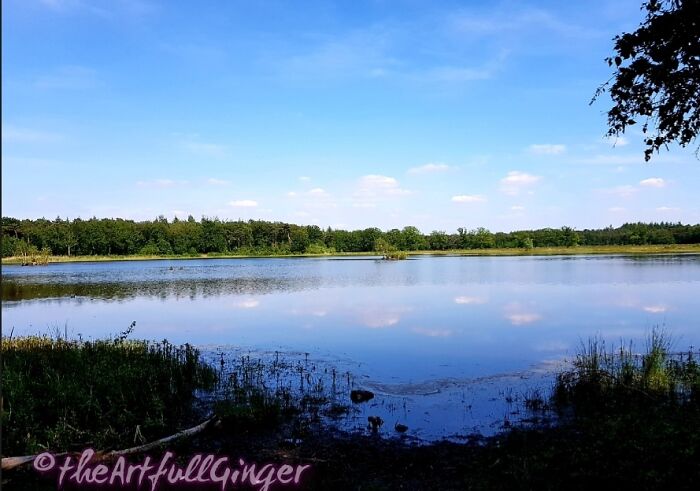 Mastbos, Breda ,the Netherlands