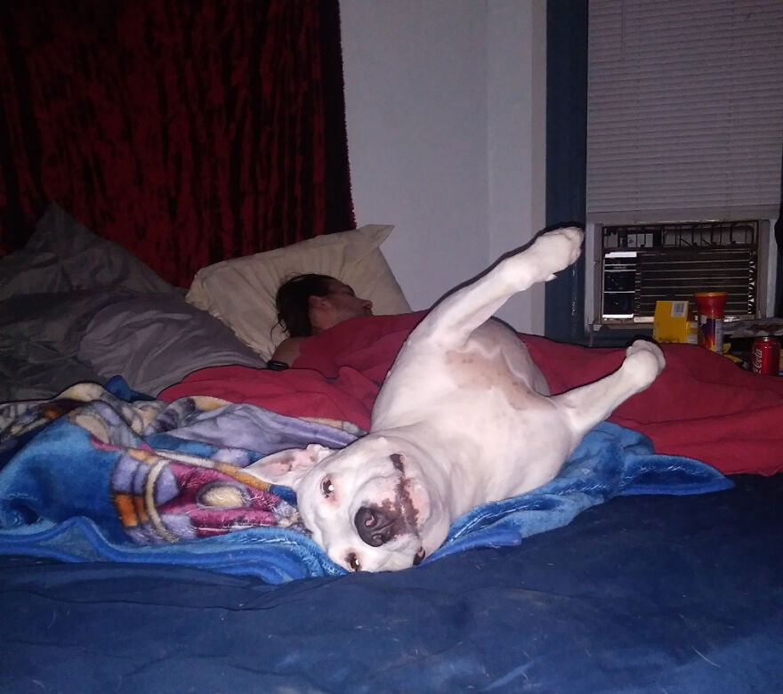 She Is Actually Sleeping Like This... And Does It Every Night