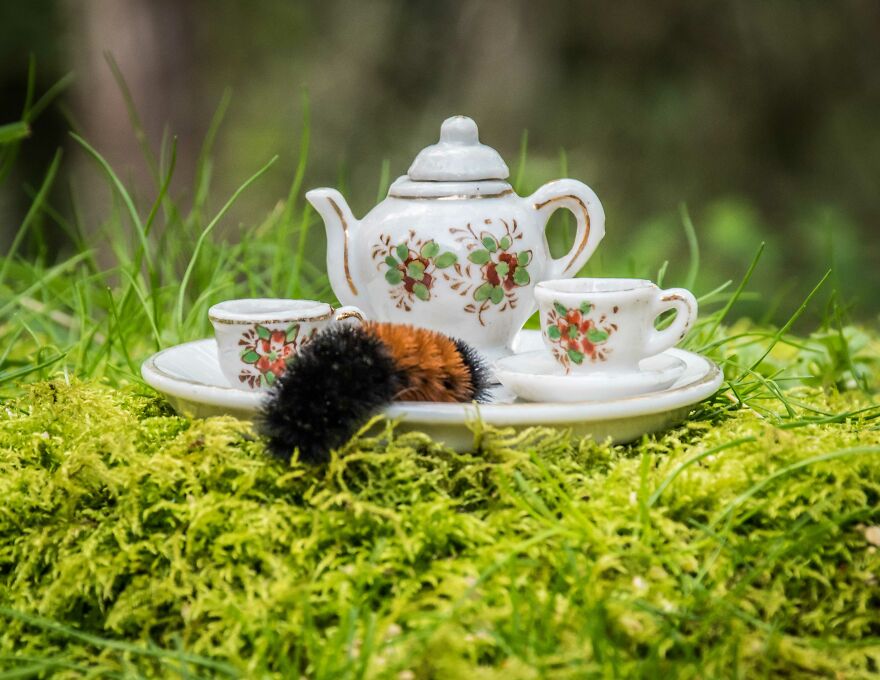 Sipping Tea With My Animal Friends - Part 2