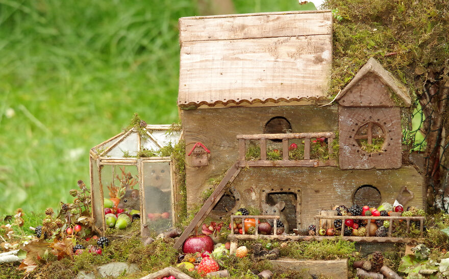 The Mice Even Have A Large House On The Hill Where They Love To Sit Out In The Conservatory On Rainy Days